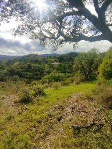 Tavira, Faro 8800-166, Portugal