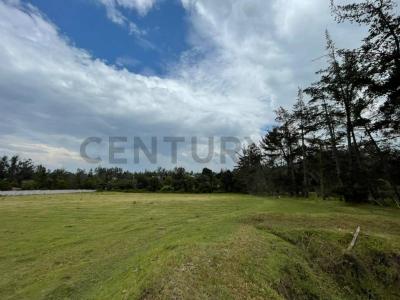 Puembo S/N, Quito, Pichincha 00001, Ecuador
