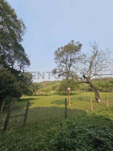 Altos , Altos, Cordillera 00001, Le Paraguay