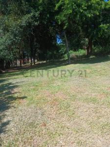 Mangore , San Lorenzo, Central 00001, Paraguay