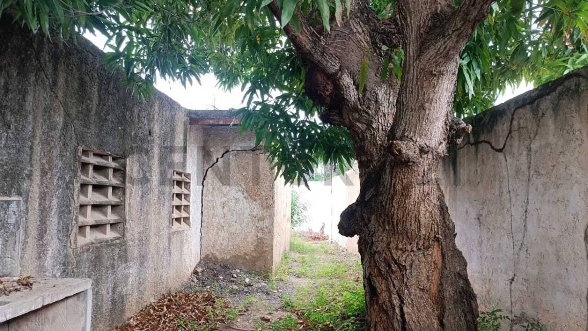 El Pilar (Los Robles), Nueva Esparta 6316, Venzuela