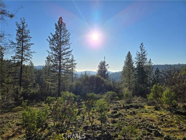 Double Eagle Way, Brownsville, Californie 95919, États-Unis