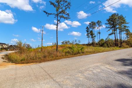 Lot 14 Old Beaver Lake Road, Fulton, Mississippi 38843, Stati Uniti