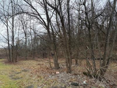 0 Mclaughlin St, Plum Boro, Pennsylvania 15235, USA