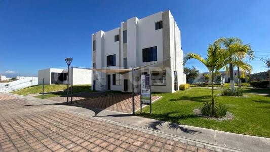 Mar mediterraneo ,, Xochitepec, Morelos 62790, Mexico