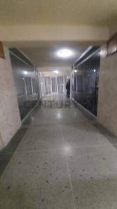 Valencia, Carabobo 00001, Venezuela