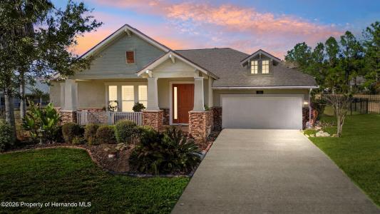 19531 Mossy Oak Court, Brooksville, Florida 34601, USA