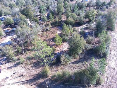 Western Road, Fuente, Florida 32438, Estados Unidos