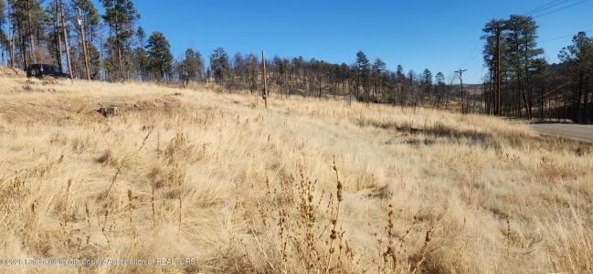 916 Gavilan Canyon, Ruidoso, Nouveau-Mexique 88345, États-Unis