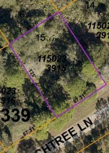LOT 15 Peachtree Lane, North Port, Florida 34288, USA