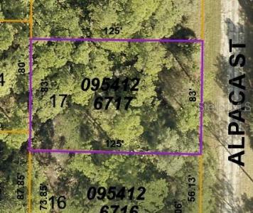 LOT 17 Alpaca Street, North Port, Florida 34291, USA