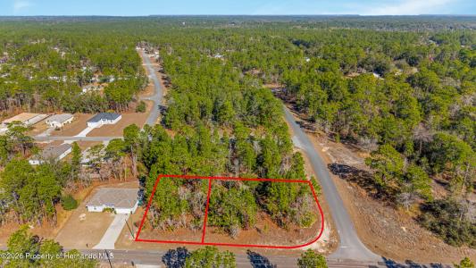 6932 N Glenridge Circle, Citrus Springs, Florida 34434, Stati Uniti