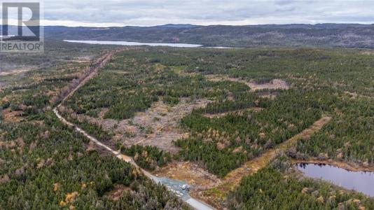 0 MEDALSIS POND ROAD, Flatrock, Terranova Y Labrador A1K 1C9, Canadá