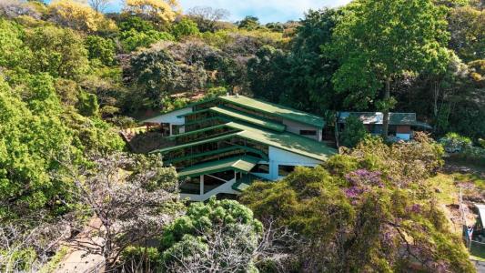 El achiotal , Colón Mora, San José 10701, Costa Rica