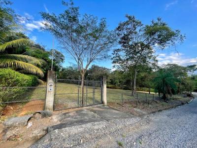 Orotina Orotina, Alajuela 00001, Costa Rica