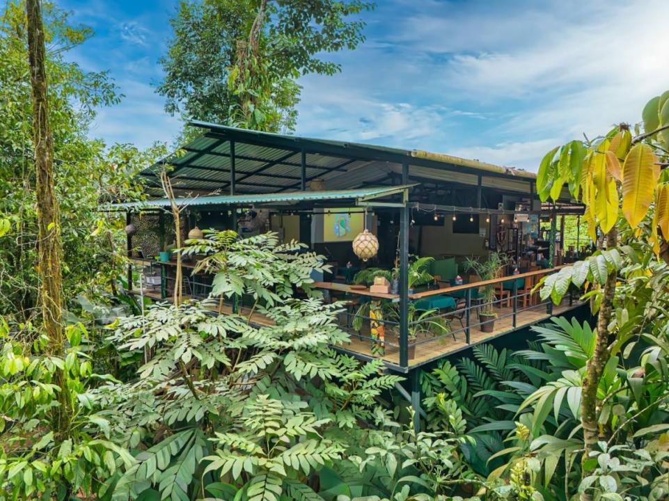 Bahía Drake Osa, Puntarenas 00001, Costa Rica