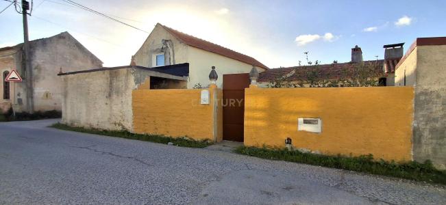 Mira, Coimbra 3070-149, Portugal