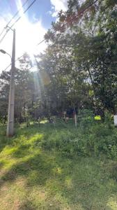 fracción los cocos , San Bernardino, Cordillera 00001, Paraguay
