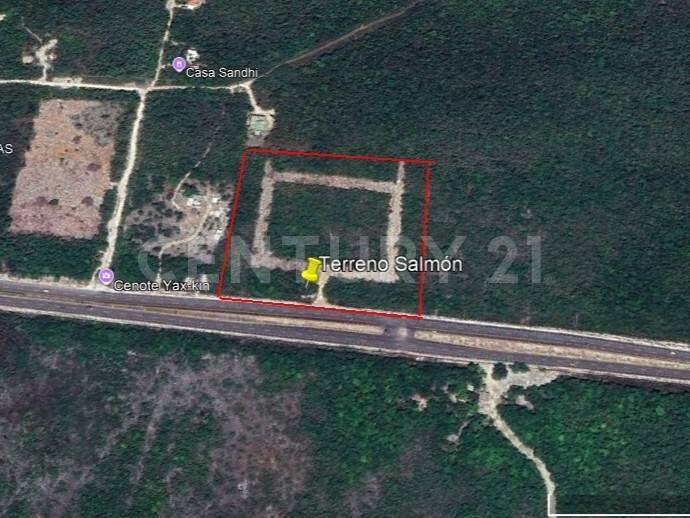 Solidaridad / Riviera Maya, Quintana Roo 77760, Mexique