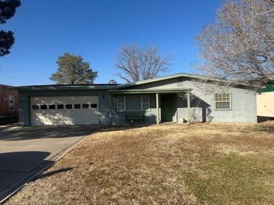 3004 Ocotillo Canyon Drive, Carlsbad, NM 88220, USA