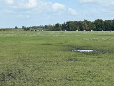 38388 512th St, North Mankato, Minnesota 56003, Estados Unidos