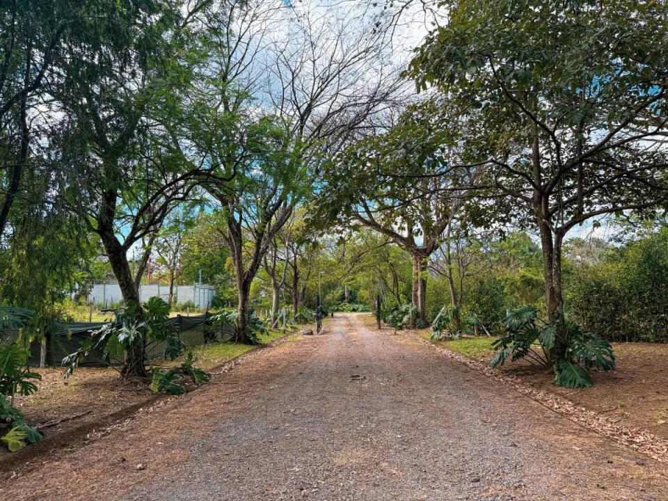 , Colón Mora, San José 00001, Costa Rica