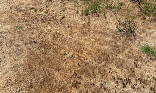 0 Walnut St, Hesperia, קליפורניה 92345, ארצות הברית של אמריקה