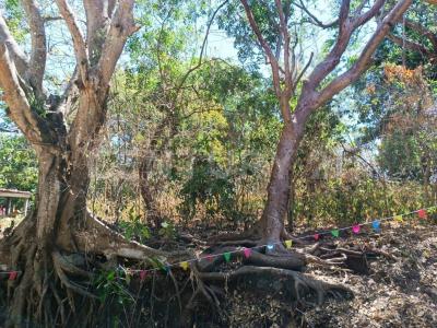 Calle Clavel Fraccion A Lote 282,, Comala, Colima 28460, Meksyk