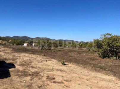 Guanajuato S/N,, Cabo Corrientes, ولاية خاليسكو 48400, المكسيك