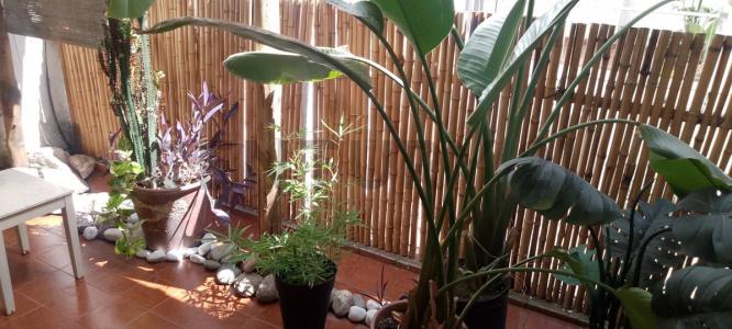 Monserrat, Capital Federal 00001, Argentine