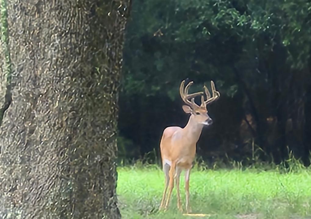 000 Shiloh Rd, Americus, Georgia 31719, USA