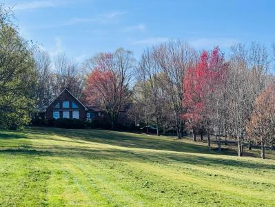 3045 Shallow Ridge Road, White Pine, Tennessee 37890, USA