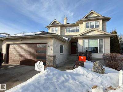 223 ORMSBY ROAD EAST NW, Edmonton, Alberta T5T 5X5, Canada