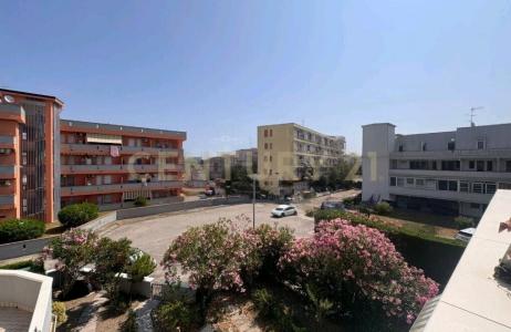 Viale Panama, Comacchio, Emilia-Romagna 44022, Italia