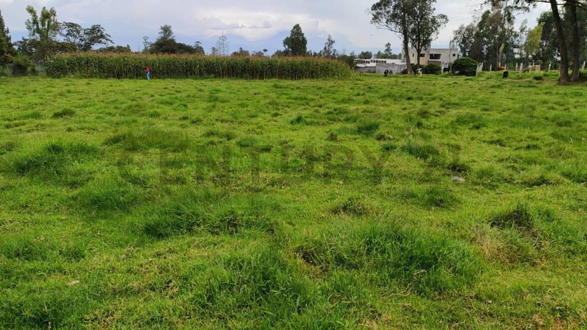 C. QUITO Y PASAJE S/N 01, Cayambe, Pichincha 00001, Ecuador