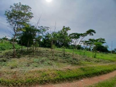 CALLE SIN NOMBRE CASI DON  MARTIN LLANES , Itá, 中央 00001, 巴拉圭