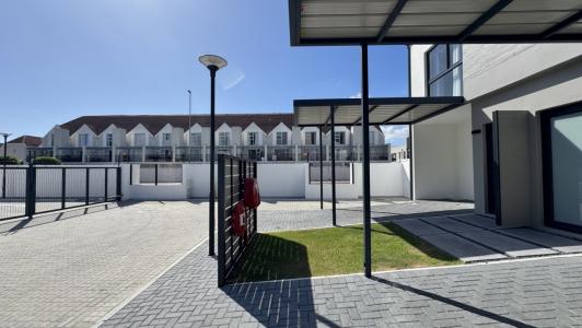 Gordons Bay, Western Cape, South Africa