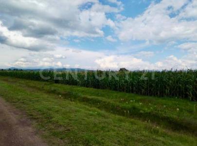 Domicilio conocido (Una fracción del terreno Zozoquitla 0,, Xaltocan, Tlaxcala 90440, Mexico