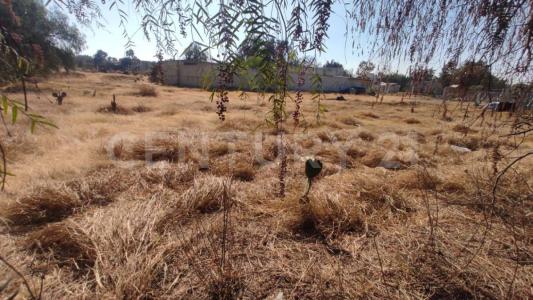 Privada Carrillo s n,, Hueypoxtla, État De Mexico 55690, Mexique