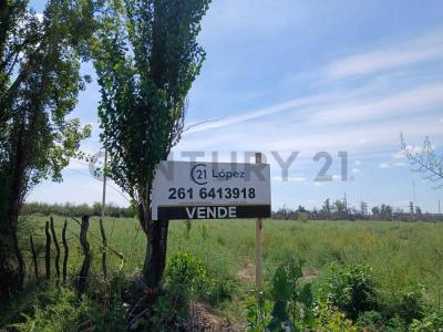 Maipú, Mendoza 5515, Argentinien