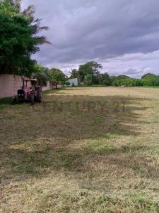 Este, Santa Cruz 00001, Bolivie