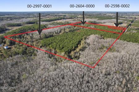 New Prospect Road, Chipley, 플로리다 32428, 미국