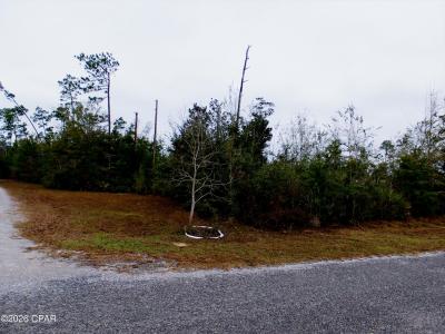 Klondyke Road, Youngstown, Floryda 32466, USA