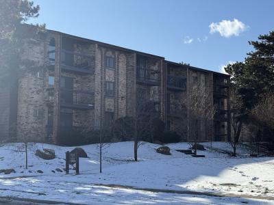 15834 Orlan Brook Drive , 3E, Orland Park, Illinois 60462, États-Unis