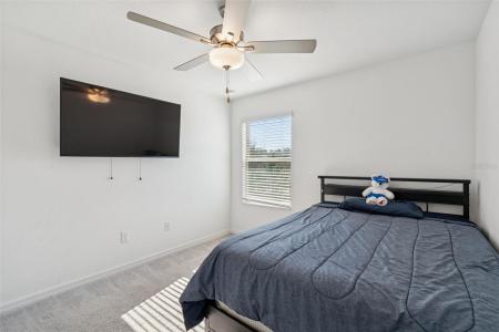 21818 Lyonia Ln., Land O Lakes, Florida 34637, Stati Uniti