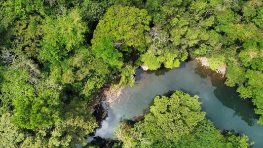 Big Falls, Toledo 00001, Belice