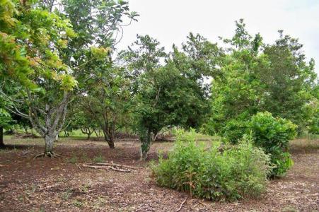 Belize District, Belize District 00001, Belize