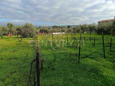 Belpasso, Sicilia 95032, Italy