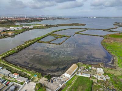 Moita, 세투발 2860-103, 포르투갈