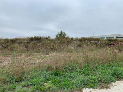 Barcelona, Cataluña/Catalunya 08670, España